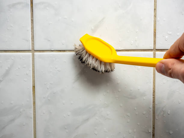 Best Black Mold Removal  in Ridgeland, SC