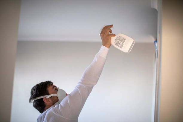 Office Mold Removal Services in Ridgeland, SC